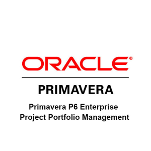Primavera P6 Enterprise Project Portfolio Management License+ Support