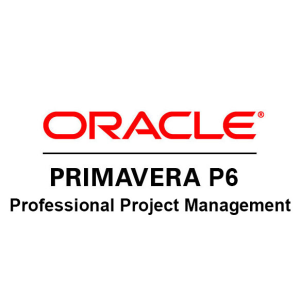 Primavera P6 Professional Project Management License+ Support- Perpetua- New Single user
